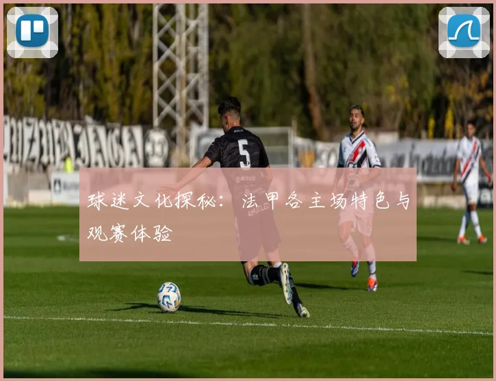 球迷文化探秘：法甲各主场特色与观赛体验